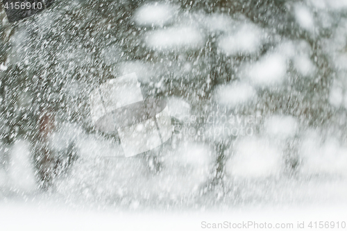 Image of snowing or snowfall