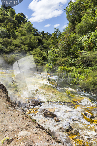 Image of volcanic activities at waimangu