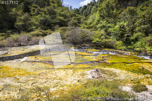 Image of volcanic activities at waimangu