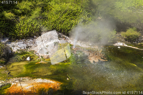 Image of volcanic activities at waimangu