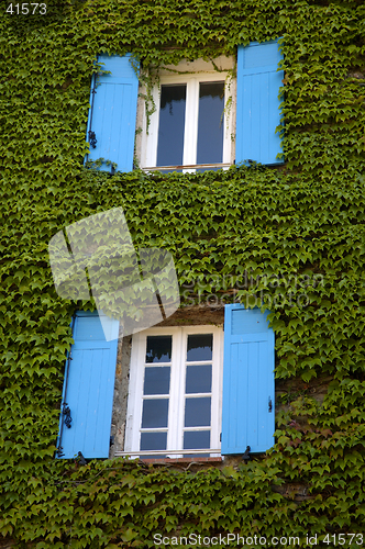 Image of Blue Shutters
