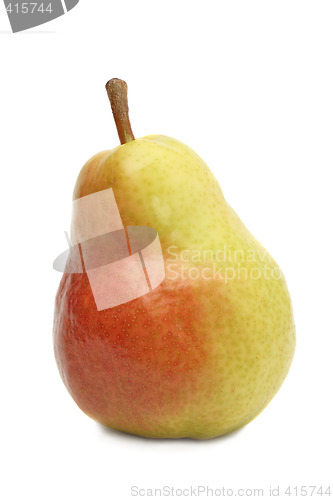 Image of Red and yellow pear
