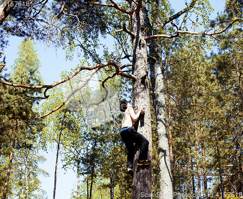 Image of young brunette man climbing on tree with rope, lifestyle people 