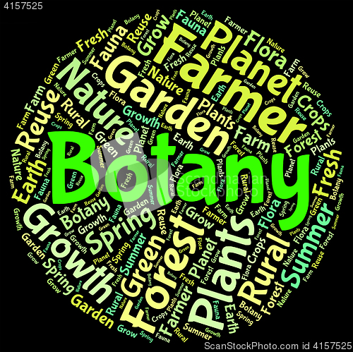 Image of Botany Word Indicates Plant Life And Botanical
