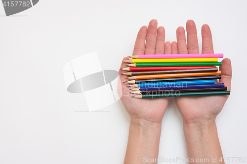 Image of Female hand holding in his hands a dozen pencils, hands right, left an empty space under the title