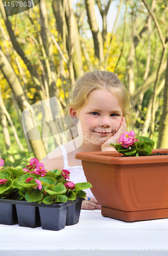 Image of Little girl gardening, planting begonia seedlings in garden, happy child and flowers in pots