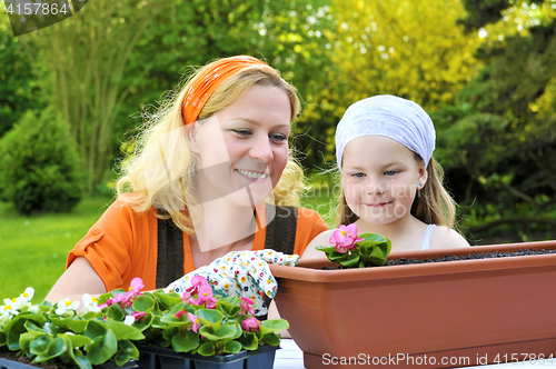 Image of Young woman and little girl gardening in spring, planting flower seedlings, smiling mother and her happy child working in garden