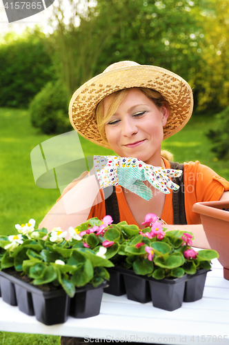 Image of Young woman planting flower seedlings, gardening in spring, planting begonia flowers in pot, smiling woman working in garden