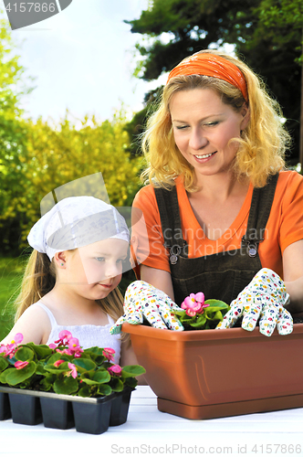 Image of Young woman and little girl gardening in spring, planting flower seedlings, smiling mother and her happy child working in garden