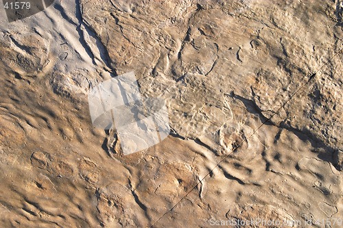 Image of Rock texture