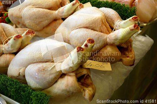 Image of Chicken