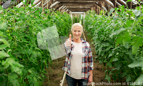 Image of happy senior woman at farm greenhouse