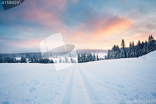 Image of Winter landscape at the sunset