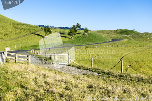 Image of landscape Matamata