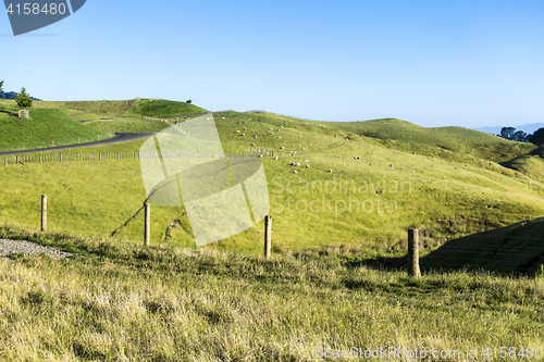 Image of landscape Matamata