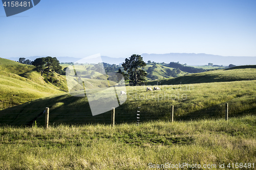 Image of landscape Matamata