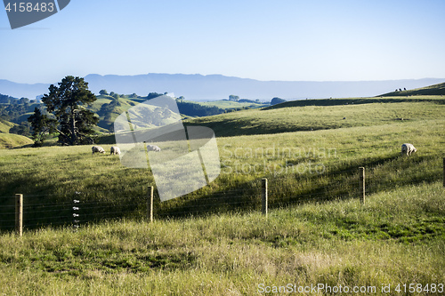 Image of landscape Matamata