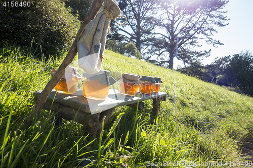 Image of honey in the sun light