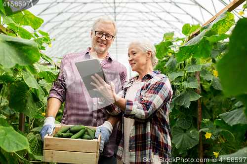 Image of senior couple with cucumbers and tablet pc on farm