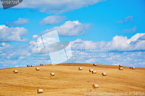 Image of Haystacks on the Field