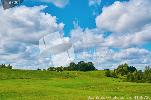 Image of Pasture Land