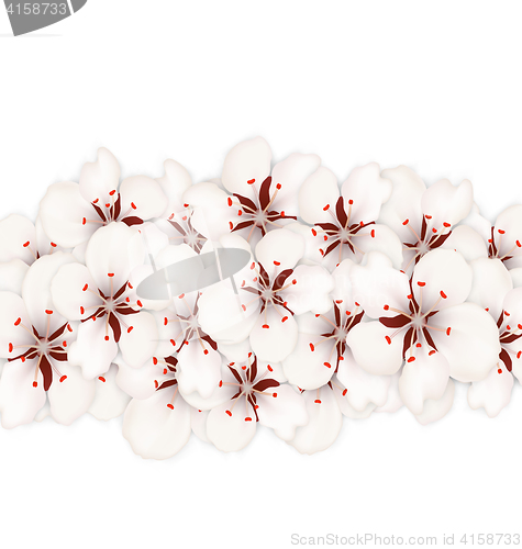 Image of Sakura Flowers, Floral Banner for Springtime