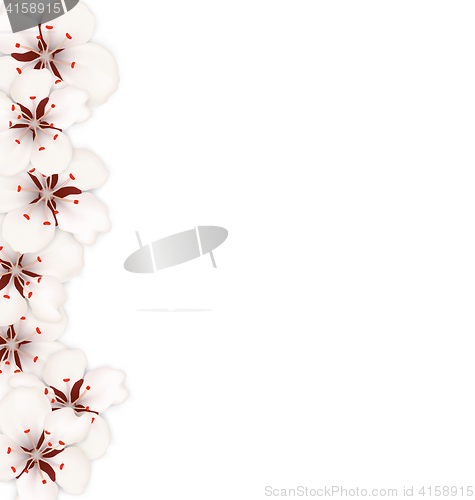 Image of Sakura Flowers, Floral Banner for Springtime