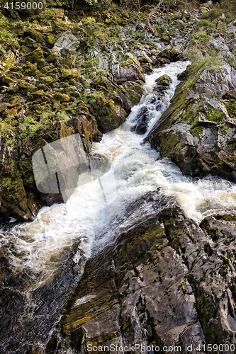 Image of Rapid mountain river