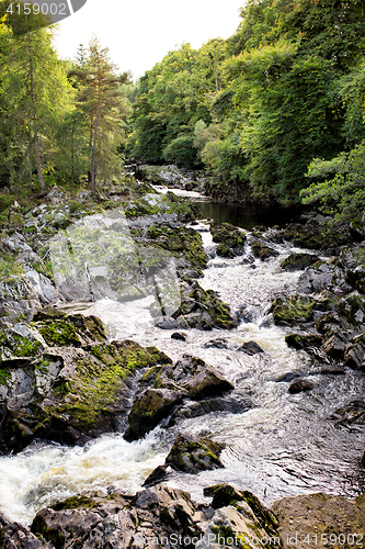 Image of Rapid mountain river