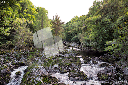 Image of Rapid mountain river