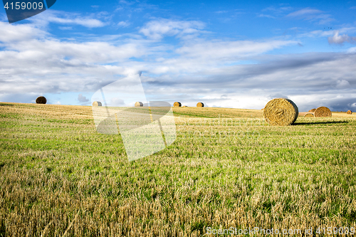 Image of agricultural field and blue sky