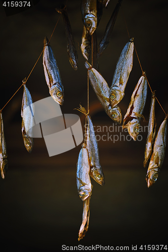 Image of Dried Fish Hanging on Rope