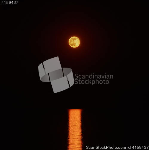 Image of Moon Path