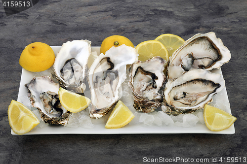 Image of Oysters on Ice with Lemon