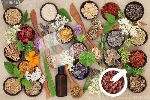 Image of Natural Healing Herbs and Flowers