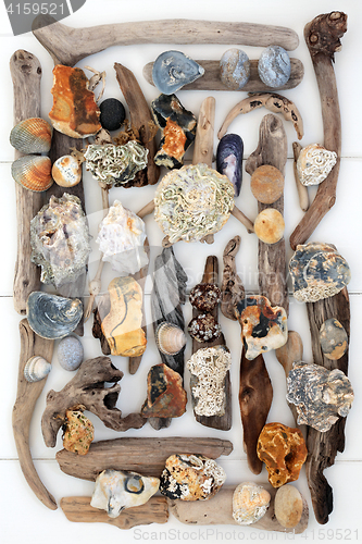 Image of Treasure from the Seaside