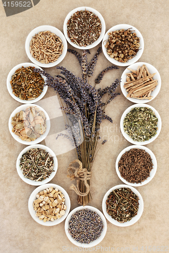 Image of Herbs for Sleeping and Anxiety