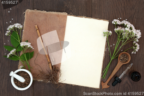 Image of Valerian Herb Flowers and Root