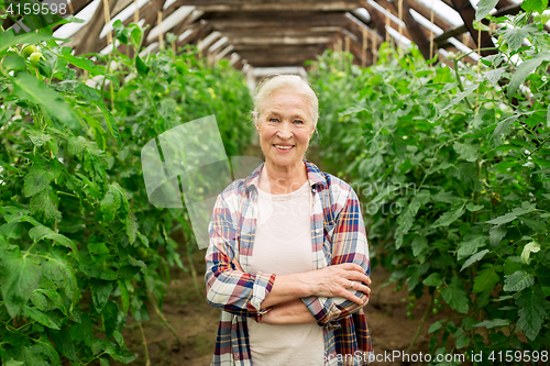 Image of happy senior woman at farm greenhouse
