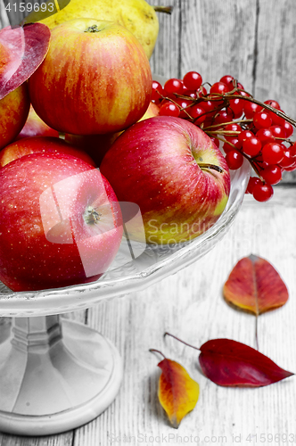 Image of High vase with apples
