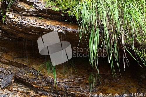 Image of Water dropping from a rock during a storm, Alps, Italy