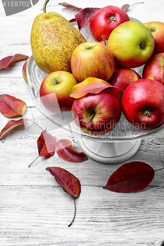 Image of 