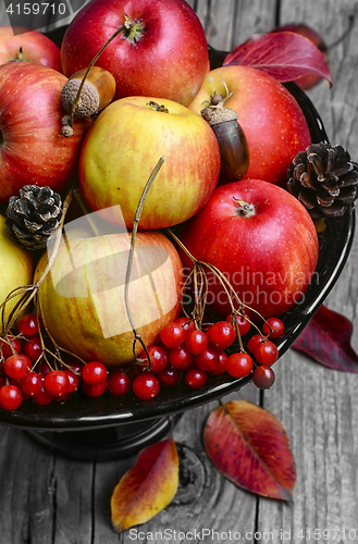 Image of Vase with apples and rowan