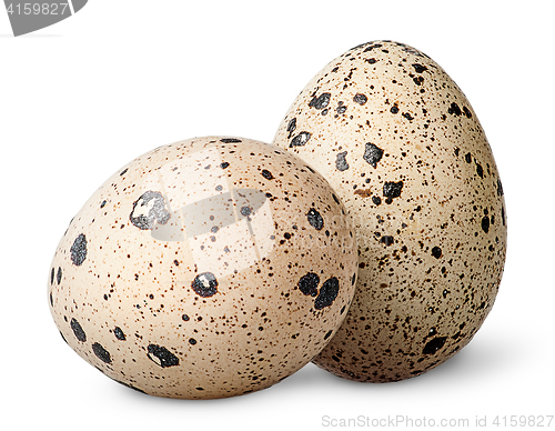 Image of Two quail eggs beside