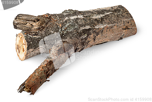 Image of Single poplar log horizontally