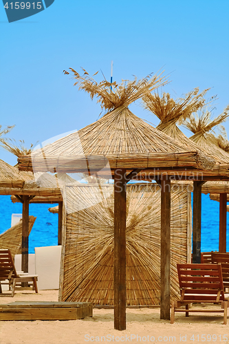 Image of Beach Umbrellas and Lounge Chairs