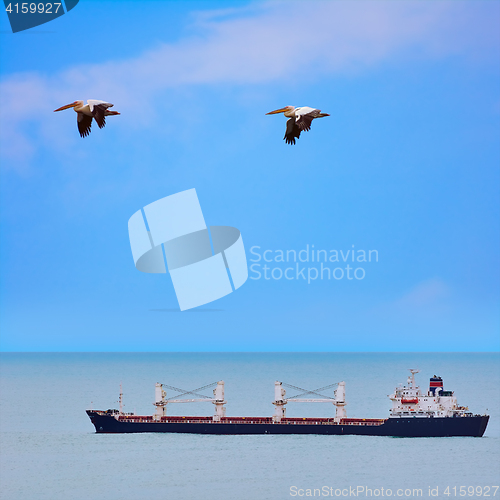 Image of Bulk Carrier Ship