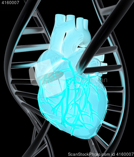 Image of DNA and heart. 3d illustration