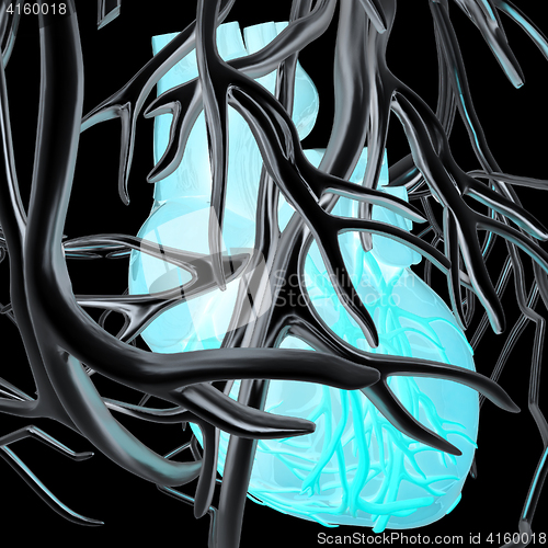 Image of Human heart and veins. 3D illustration.