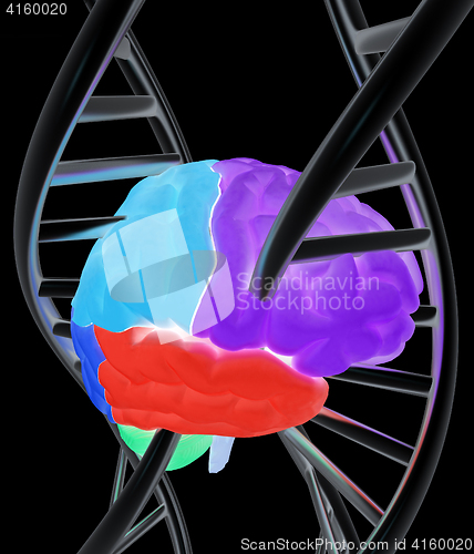 Image of Brain and dna. 3d illustration